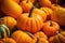 Close-up of fresh pumpkins of different shapes and sizes