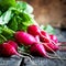 Close up Fresh Radish on wooden background