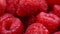 Close up of fresh raspberries