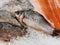 Close up of fresh raw fish in pieces of ice. Chilled fish lying on counter of supermarket with crushed transparent ice.