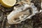 Close up of a fresh raw pacific oyster