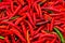 Close up fresh red chilli pepper.