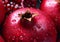 Close up fresh red ripe pomegranates.Macro.AI generative