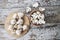 Close-up of fresh, ripe mushrooms on white wood background