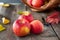 Close up fresh Ripe organic red apples with water drops on the rustic wooden table. Space for text. Selective focus. Autumn harves