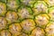 Close up of fresh ripe pineapple bark texture background