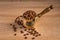 Close up of fresh roasted coffe beans in  cezve traditional turkish coffee pot on wooden table