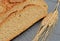 Close-up of fresh rustic bread with ears of wheat.