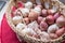 Close-up fresh shallots and garlics in the basket