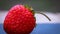 Close up of fresh strawberry showing seeds achenes. Details of a fresh ripe red strawberry