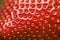 Close-up of a fresh strawberry texture. Detailed surface shot