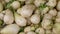 The close up of Fresh Taiwan White Radish Daikon