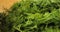 close-up freshest herbs. on a wooden table lies a dill spice. on the table lies a fennel spice.