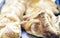 Close up freshly baked puff pasty from the oven in bakery shop of Catania, Sicily, Italy