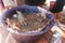 Close-up of freshly caught lobsters soaking in a plastic bowl filled with water at a traditional market in Masachapa