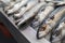 A close-up of freshly caught mackerel on ice on a UK market stall