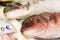 Close-Up Of Freshly Caught Red Porgy Or Pagrus Pagrus On Ice For Sale In The Greek Fish Market