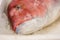 Close-Up Of Freshly Caught Red Snapper Or Lutjanus Campechanus With Sharp Teeth On Ice For Sale In The Greek Fish Market
