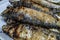 Close up of freshly grilled Portuguese sardines
