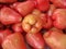 Close-up Freshly plucked rose apple fruit or jambu air on display for sale