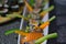 Close-up of freshly prepared homemade collection of Sushi variety during a cooking class