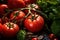 Close up freshy red tomato from farm background