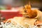 Close up of Fried Shrimps wrapped and crispy fried noodles with various food as background