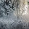 a close up of a frosted window with a plant