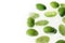 Close up of frozen cucamelon in ice, white background. Horizontal poster, banner, copy space. Concept of shock freezing of food.