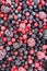 Close up of frozen mixed fruit - berries