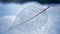 Close-Up of Frozen White Leaf on Snow in Winter - AI generated