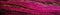 Close Up Fuchsia Textured Wood Background Panoramic Banner. Generative AI