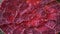 Close-up full plate sliced red and fat beef meat Asian style food preparation