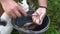 Close-up of funny cat in a summer garden curiously looks into a bucket of water and catches fish. A fisherman cleans a