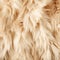 a close up of a furry animal fur textured with a pattern