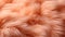 A close up of a fuzzy orange fur texture with some white, AI