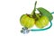 Close up garcinia cambogia and stethoscope on white background.