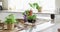 Close up of garden equipment with gloves and plants on table in kitchen