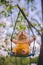 Close-up garden figurine decor - a cheerful hedgehog in yellow clothes sitting on a swing - hanging on a tree branch