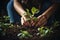 Close up of gardener using shovel to dig soil in backyard garden for planting and landscaping