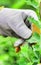 Close up of gardener wearing gloves while holding shovel in garden shop