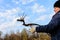 Close-up, gardeners in the spring are trying to remove a dry tree, pulling out its roots with a shovel in a large dry grass with