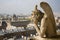 Close-up of gargoyle on the Notre-Dame de Paris