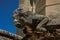 Close-up of a gargoyle on the roof of the Palace of the Popes of Avignon.