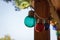 Close-up of a garland of multi-colored light bulbs, decor of the outdoor veranda, selective focus