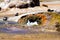Close up of geyser hole with hot bubbling boiling water and rusty reddish edge in dry barren arid environment