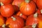 Close-up giant pumpkin hokkaido, lat.cucurbita maxima, vegan food, vegetarian food