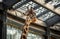 Close-up of a giraffe in a zoo, eating against a glass ceiling