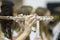 Close-up Girl in Band Playing Silver Flute