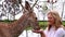 Close-up of a girl feeding a cute deer in with hands with special food on a summer day. Cute girl. Animal life in nature. The chil